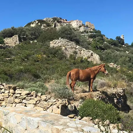 Semesterbostad Historic In Sant Antonino With Sea Views Sant'Antonino