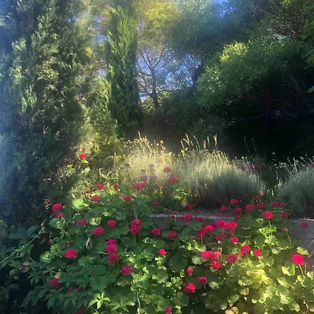 Semesterbostad Historic In Sant Antonino With Sea Views *