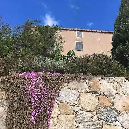 Historic In Sant Antonino With Sea Views *