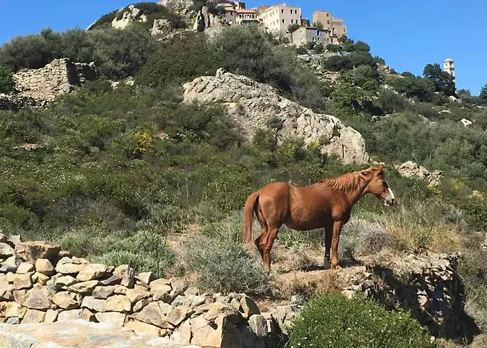 Tatil Evi Historic In Sant Antonino With Sea Views Sant'Antonino