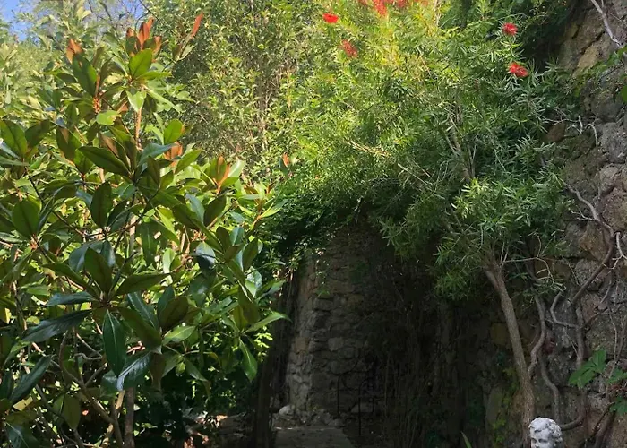 Historic In Sant Antonino With Sea Views Sant'Antonino