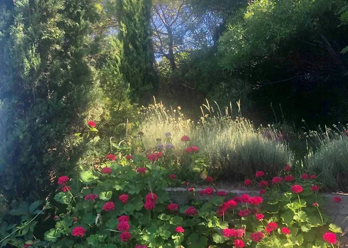 Tatil Evi Historic In Sant Antonino With Sea Views *